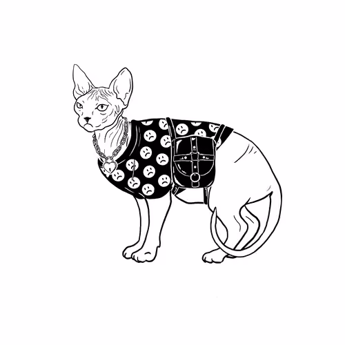 The Sad Cat #3064