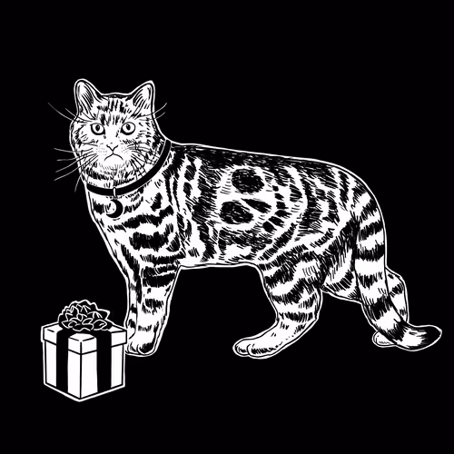 The Sad Cat #5816