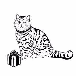 The Sad Cat #844