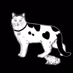 The Sad Cat #6767