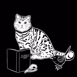 The Sad Cat #3775