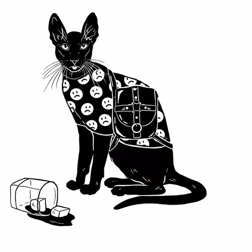The Sad Cat #5806