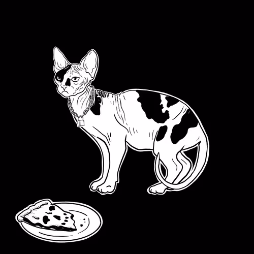 The Sad Cat #3800