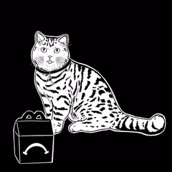 The Sad Cat #3909