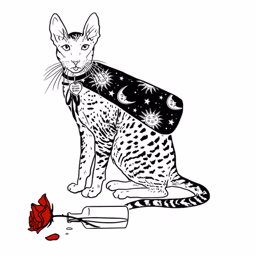 The Sad Cat #6030