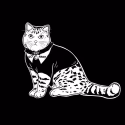 The Sad Cat #305