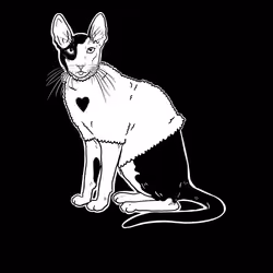 The Sad Cat #4228