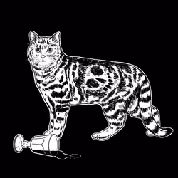 The Sad Cat #404