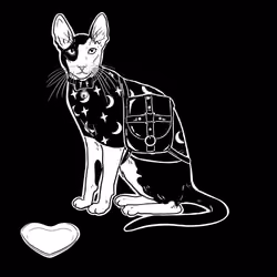 The Sad Cat #3009