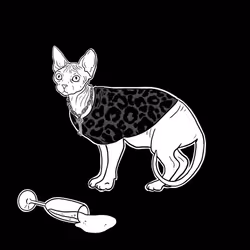 The Sad Cat #3180