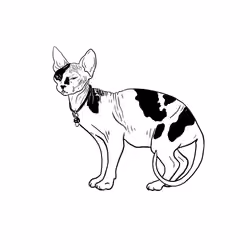 The Sad Cat #4409