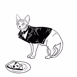 The Sad Cat #5496