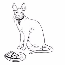 The Sad Cat #2233