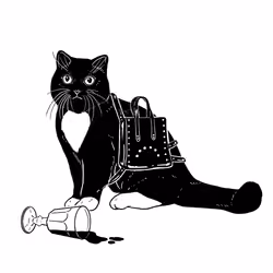 The Sad Cat #3989