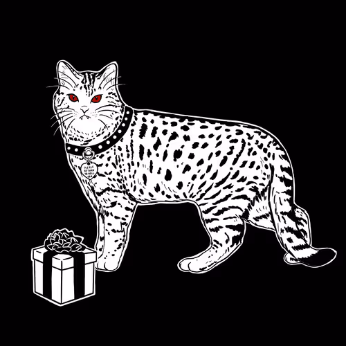 The Sad Cat #3841