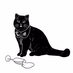 The Sad Cat #2509