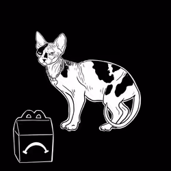 The Sad Cat #2963