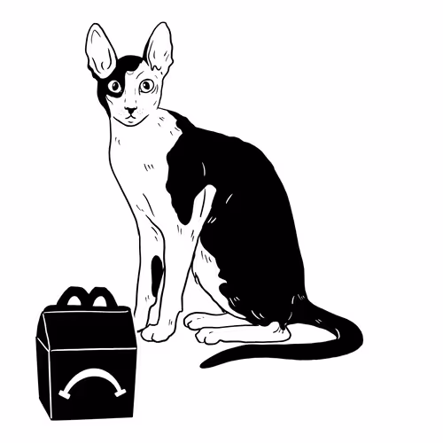 The Sad Cat #5902