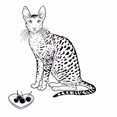 The Sad Cat #6540