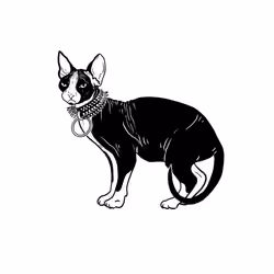 The Sad Cat #3344