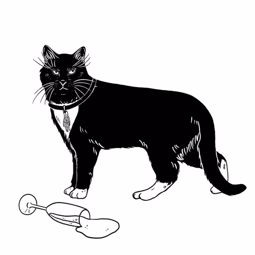 The Sad Cat #6268