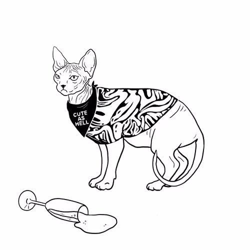 The Sad Cat #2066