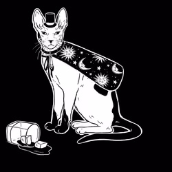 The Sad Cat #4040