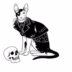 The Sad Cat #4041