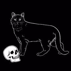 The Sad Cat #2899