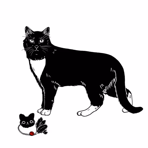 The Sad Cat #4227