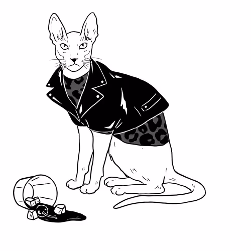The Sad Cat #6384
