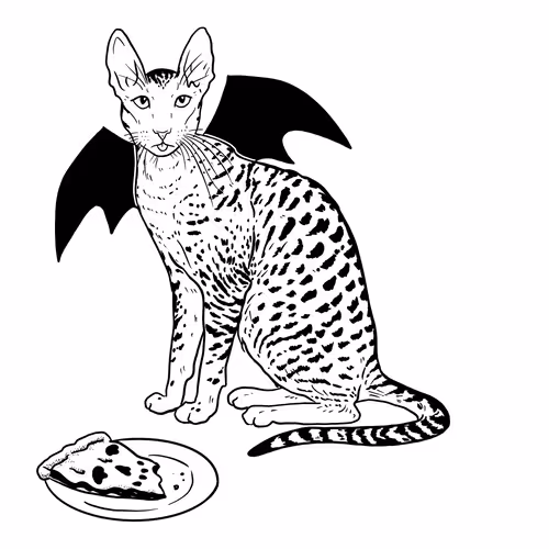 The Sad Cat #5802