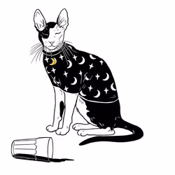 The Sad Cat #5841