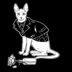 The Sad Cat #3911
