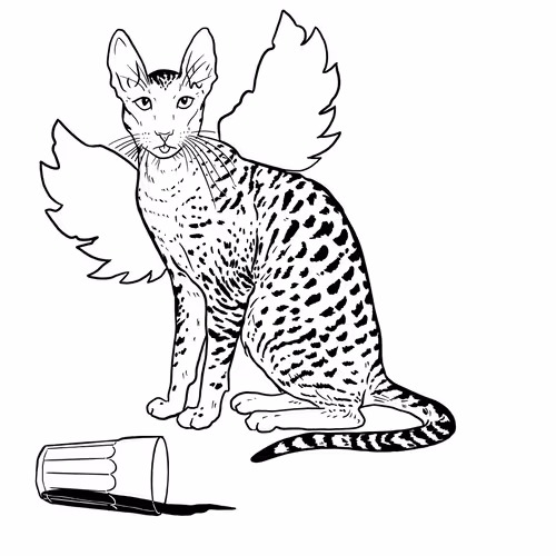 The Sad Cat #3651