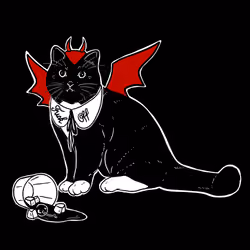 The Sad Cat #6464