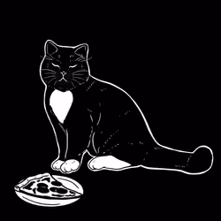 The Sad Cat #5147