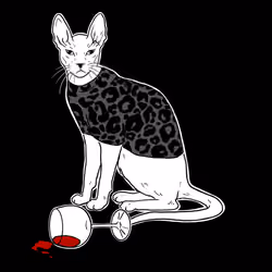 The Sad Cat #4930