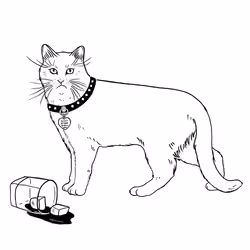 The Sad Cat #2768