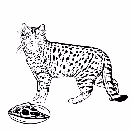 The Sad Cat #3234