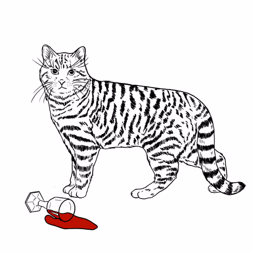 Thesadcats