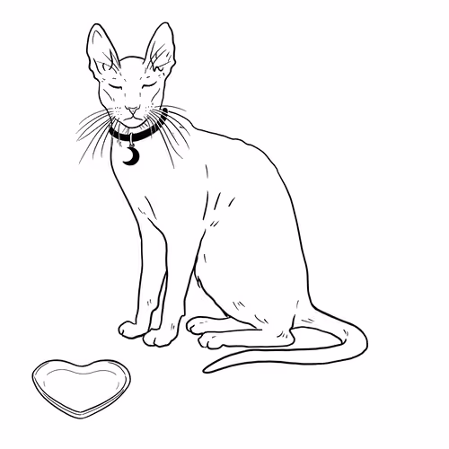 The Sad Cat #2038