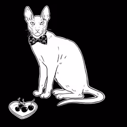 The Sad Cat #6466