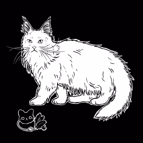 The Sad Cat #997