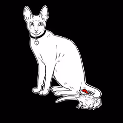 The Sad Cat #2751