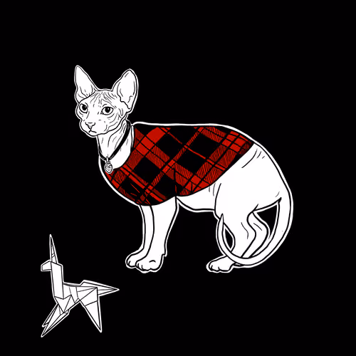The Sad Cat #3385