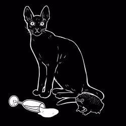 The Sad Cat #5777