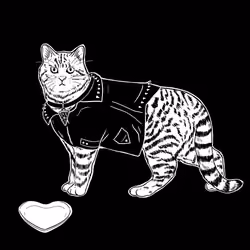 The Sad Cat #3390