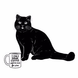 The Sad Cat #6501