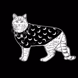 The Sad Cat #5097